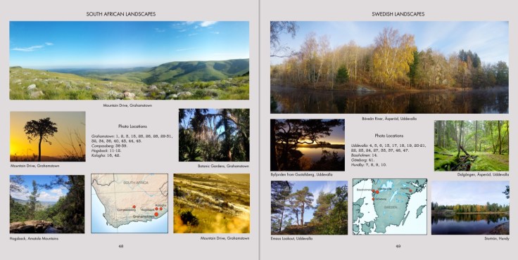 Symmetry in Nature: Landscapes