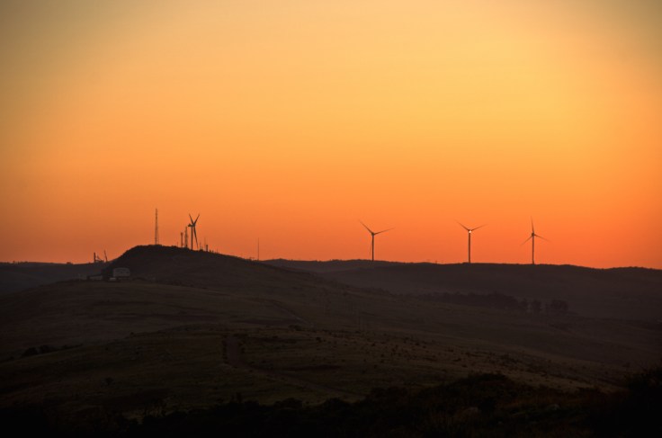 RFOX2015-06-09 at 17-22-08 copy