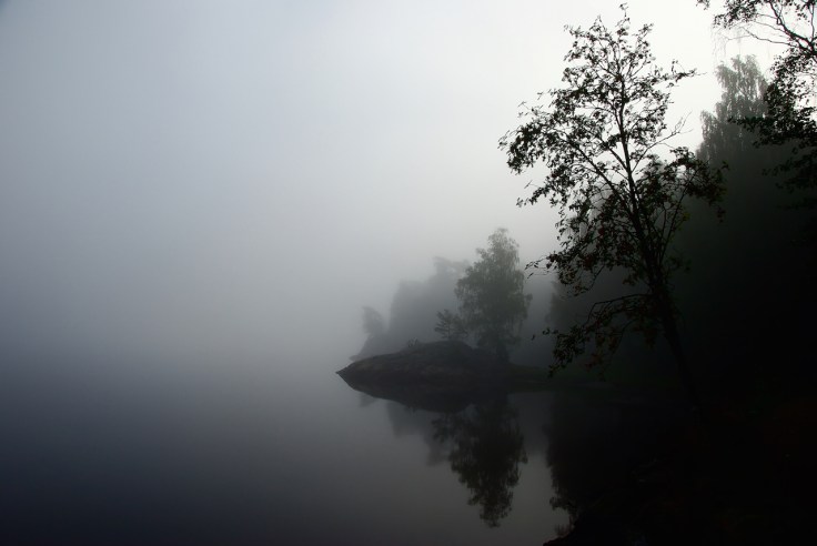 Byfjorden in the mist