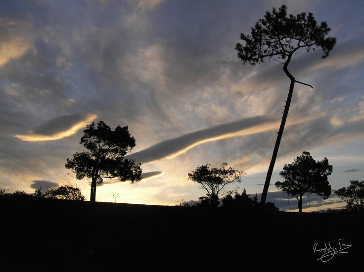 PJ Olivier gray sunset