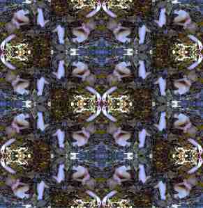 NatalieEndless10%coolblue