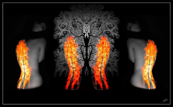 Triptych Flame 1