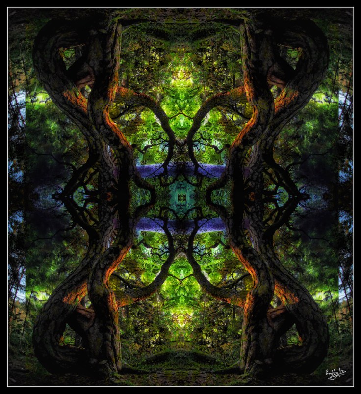 Äsperöd Mushroom Fantasy