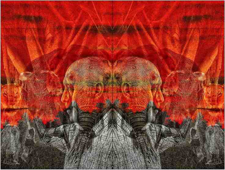 Covers front and back