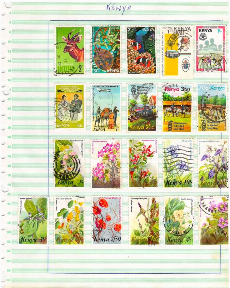 Plants and 'specials'