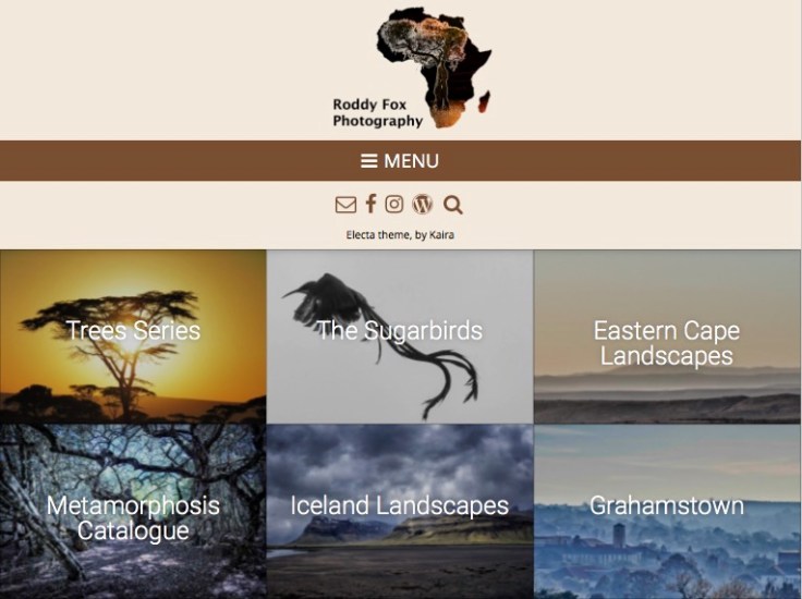 Online store, roddythefox, metamorphosis