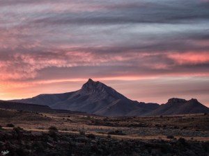 #Ganora #Karoo #Karoolight #Karooheartland