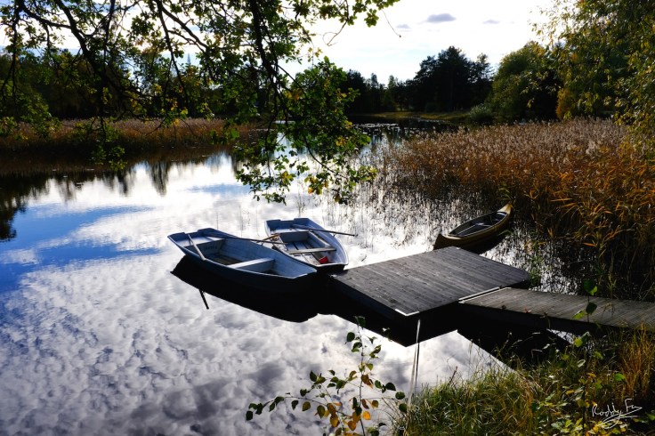 Sundborn Autumn Höst Dalarna Sweden Fujifilm