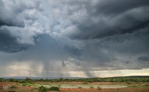 Kwandwe, WESSA, Natural Heritage, RoddytheFox, Wildlife, Landscape