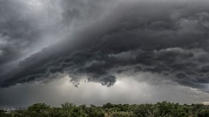 Kwandwe, WESSA, Natural Heritage, RoddytheFox, Wildlife, Landscape