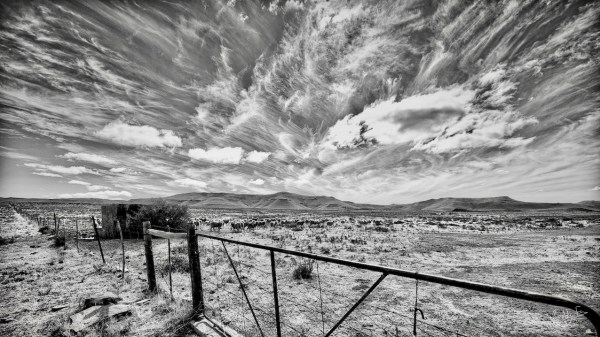 Gate, sheep and sky, Blaauwater Siding, Nieu-Bethesda, Karoo