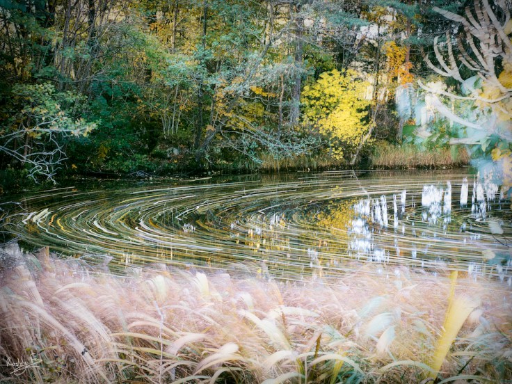 A curve in the Bäveån