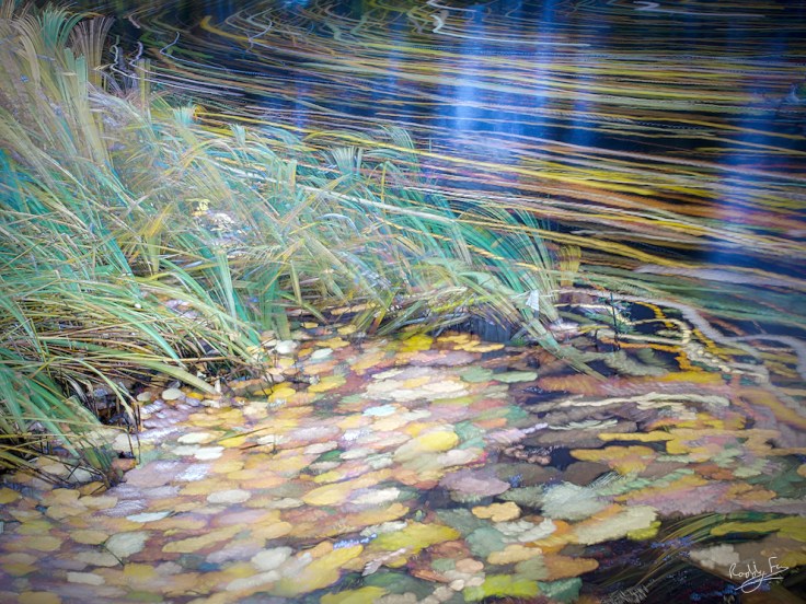 A windy day on the Bäveån