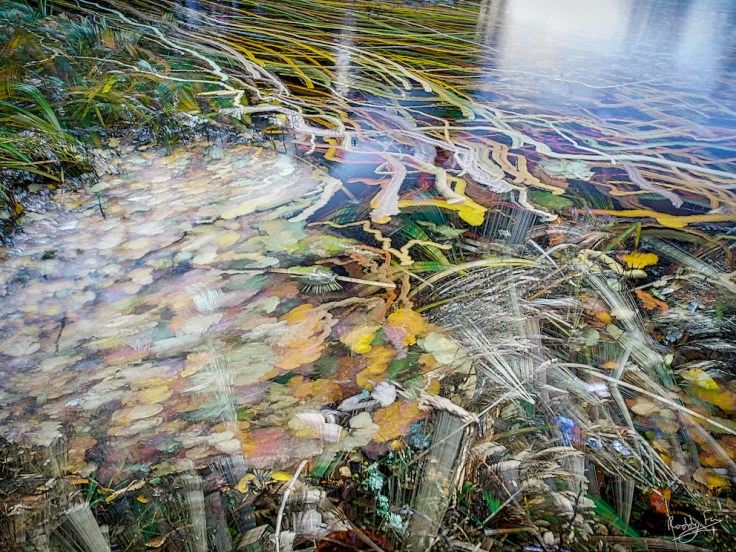 Bäveån abstract impressions