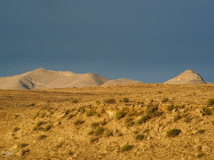 The golden light of a Karoo sunset