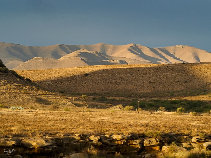 A golden sunset at Ganora farm