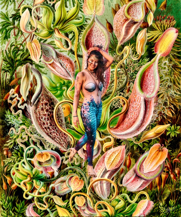 Shelby strolls through Ernst Haeckel's Pitcher Plants