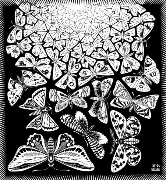 MC Escher's Butterflies Print