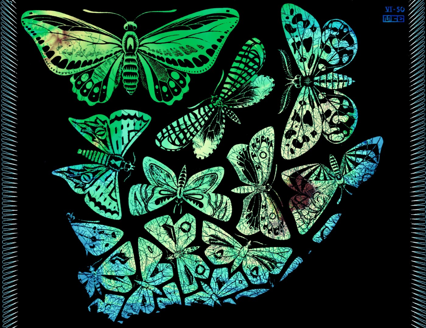 Escher's Butterflies on the Topographic Map of South Africa