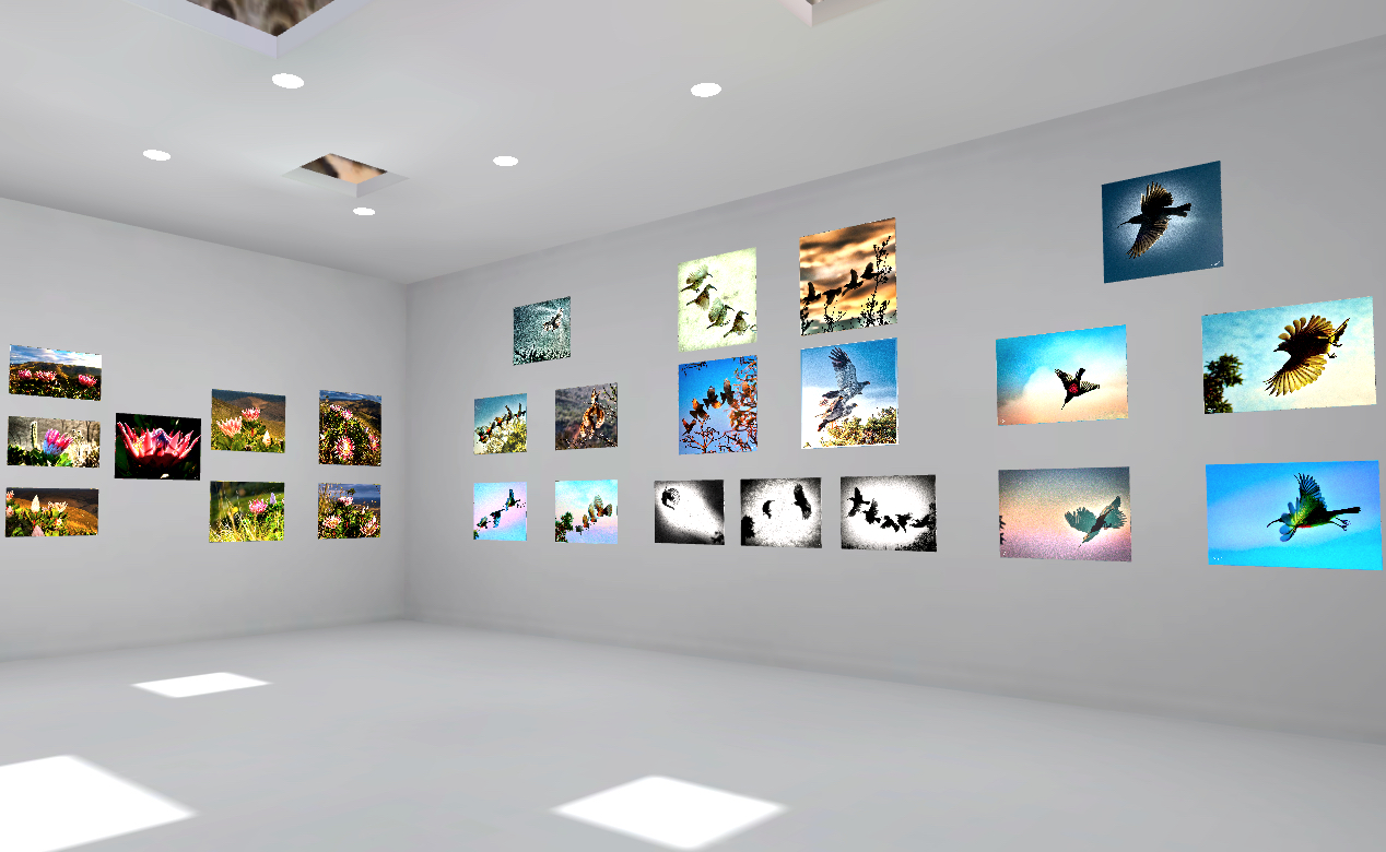 Room of Dreams Exhibition, National Arts Festival makhanda