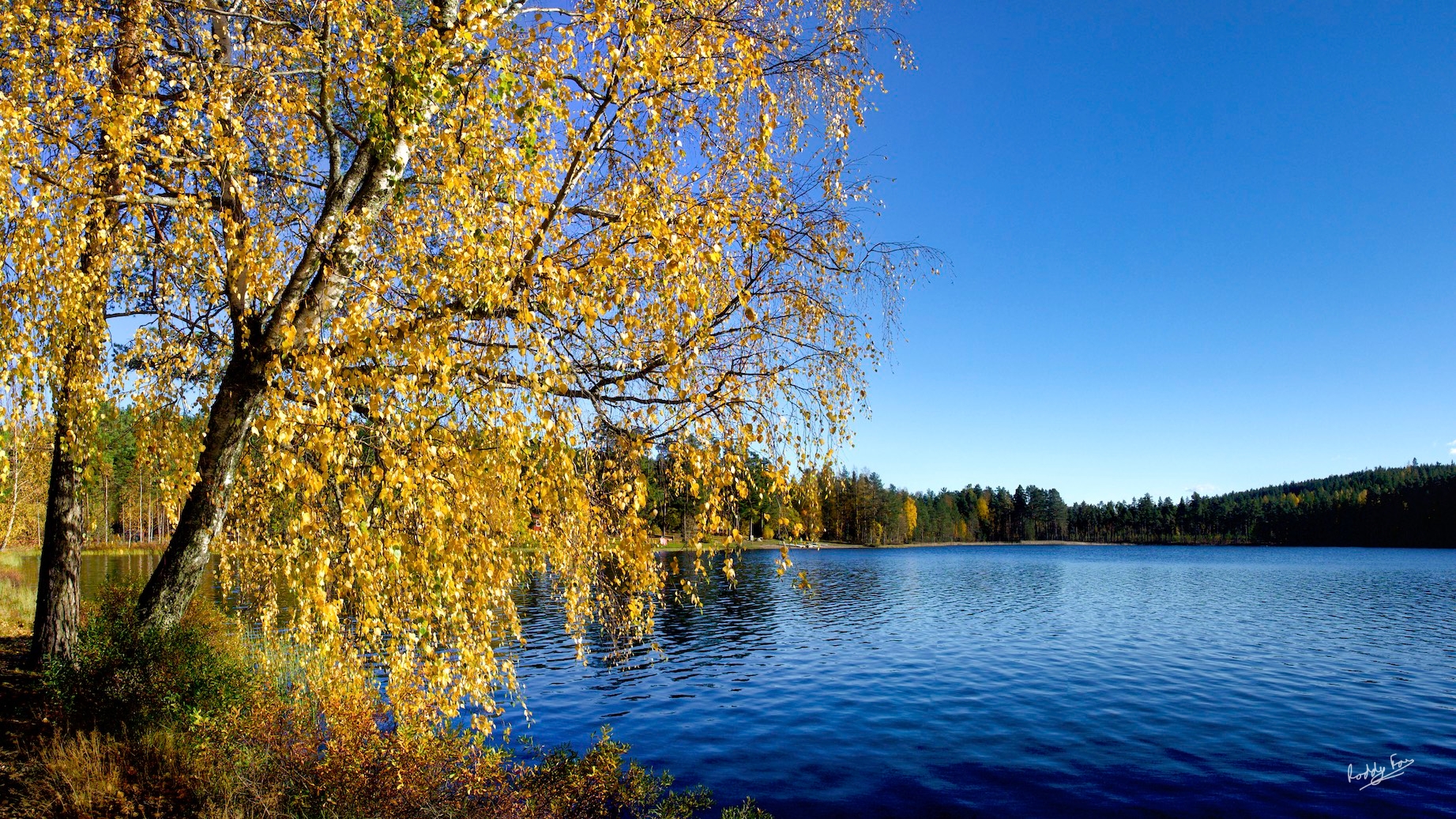 Dalarna Desktop 4: Stångtjärn