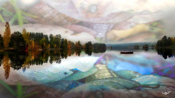 Autumn Leaves Juxtaposed over Korsgården, Dalarna